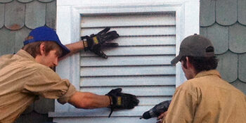 Bat Removal Project in Davidson North Carolina