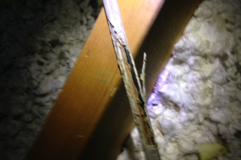 Squirrel Electrical Damage Repair Project Squirrel Electrical Damage Repair Project