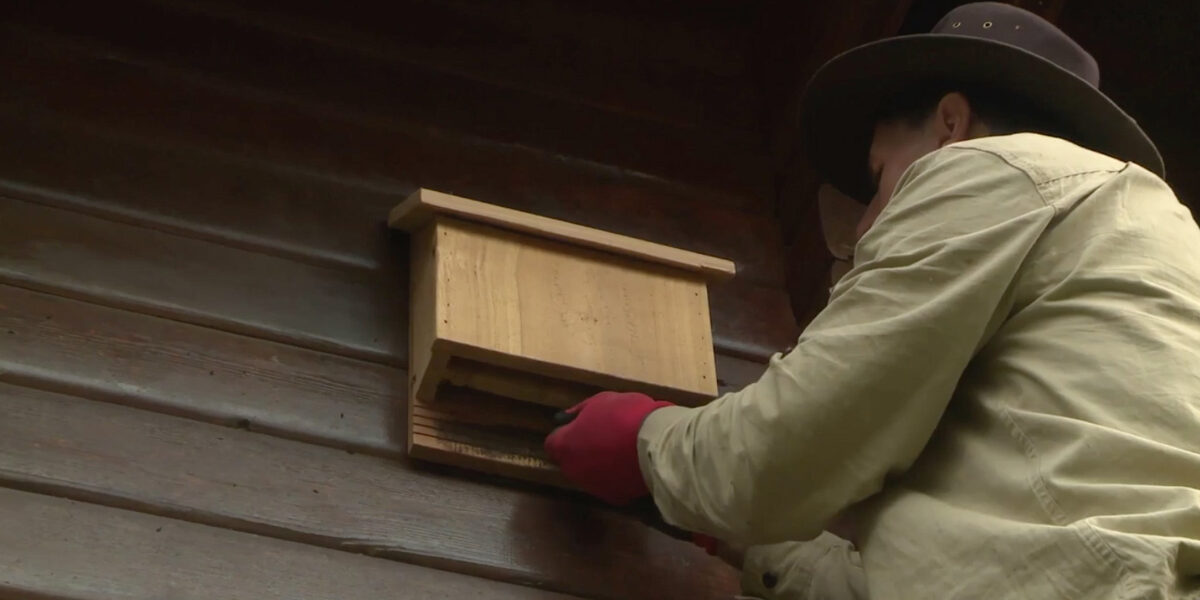 Keith Lange In Nat Geo Wild When Nature Calls Keith Lange In Nat Geo Wild When Nature Calls