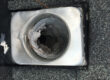 Bird in Dryer Vent? Call Varmint Gone Today