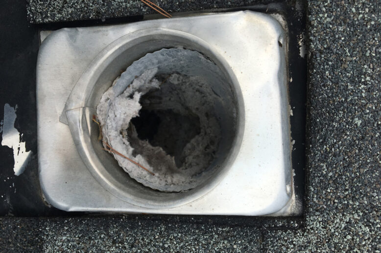 Bird in Dryer Vent? Call Varmint Gone Today Bird in Dryer Vent? Call Varmint Gone Today