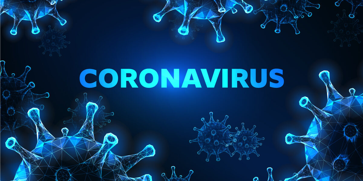 Link Found That Bats Carry Coronavirus Link Found That Bats Carry Coronavirus