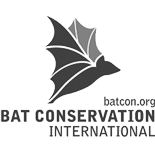 Bat Conservation International