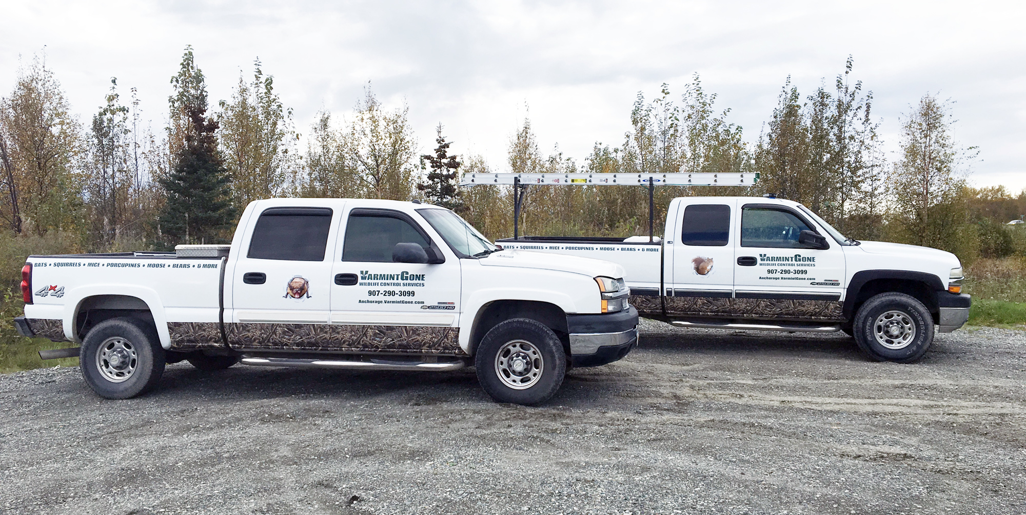 Contact Varmint Gone