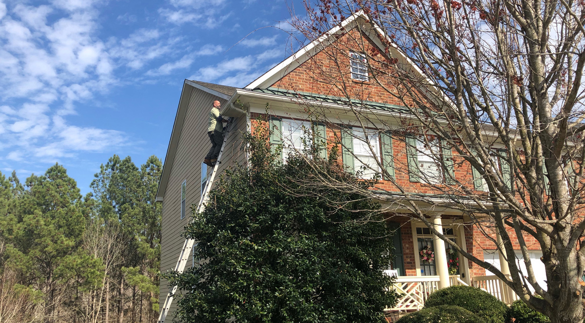 Varmint Gone Wildlife Removal Services Charlotte