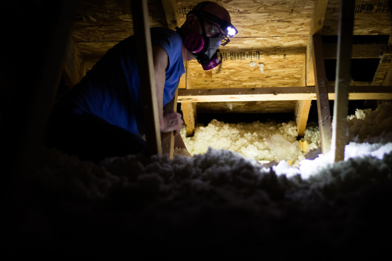 How Squirrel Insulation Damage Can Affect Your Home How Squirrel Insulation Damage Can Affect Your Home