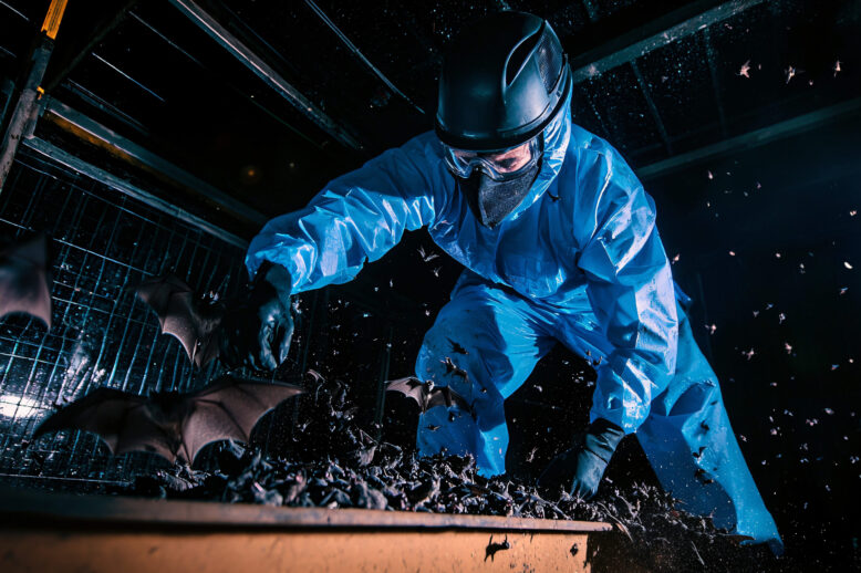 5 Common Myths About Wildlife Removal and Why They’re Wrong 5 Common Myths About Wildlife Removal and Why They're Wrong